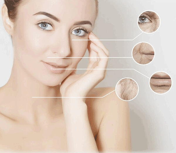 نمودار علل پیری پوست شامل فتوایجینگ و کاهش کلاژن