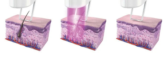 شواهد بالینی